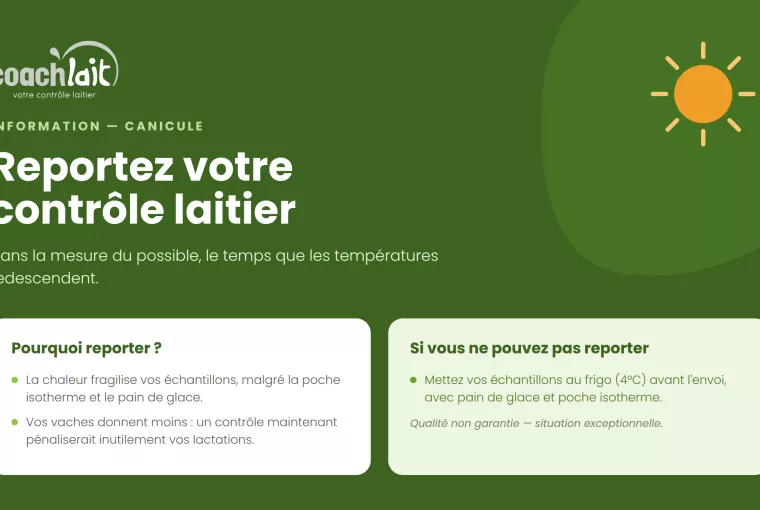 Information canicule