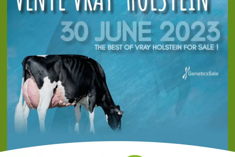 Vente Vray Holstein