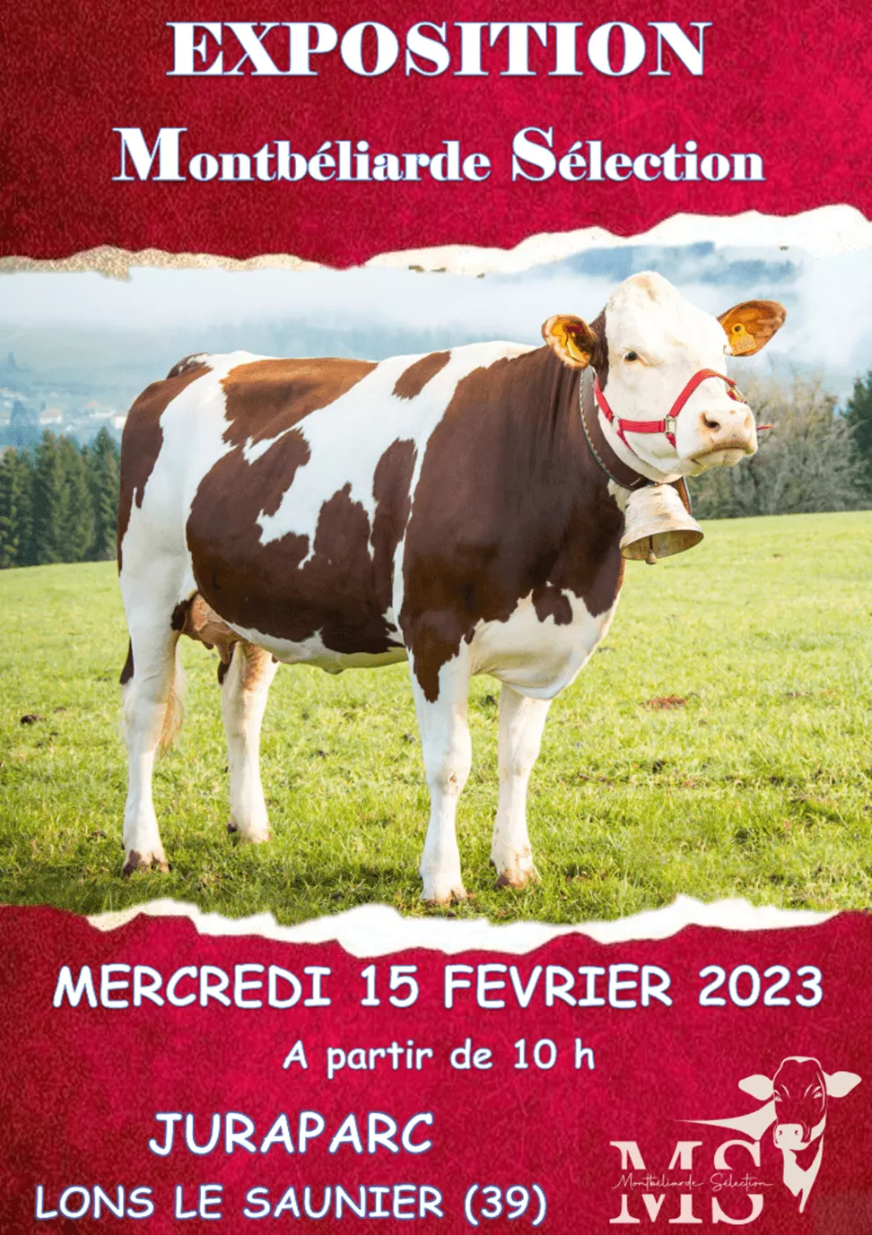 comtoise-expo.png