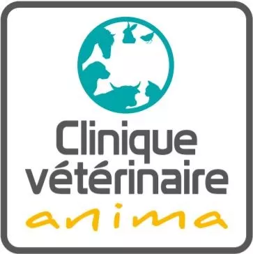 Clinique vété.jpg
