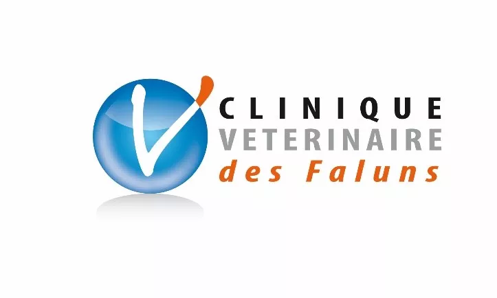 Cliniques faluns.jpg