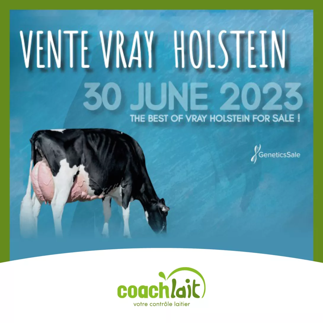 EVC-23-28841-Post fb Vente-lm-280623-r1.jpg