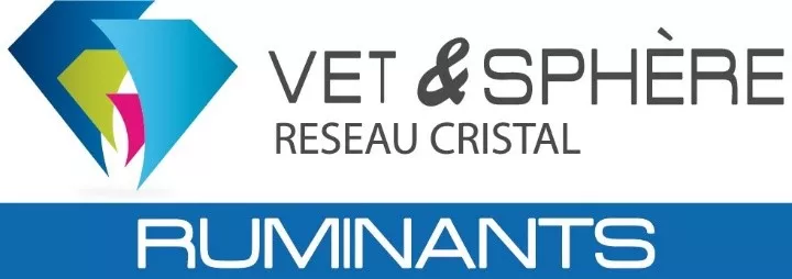 Vet Sphere.jpg