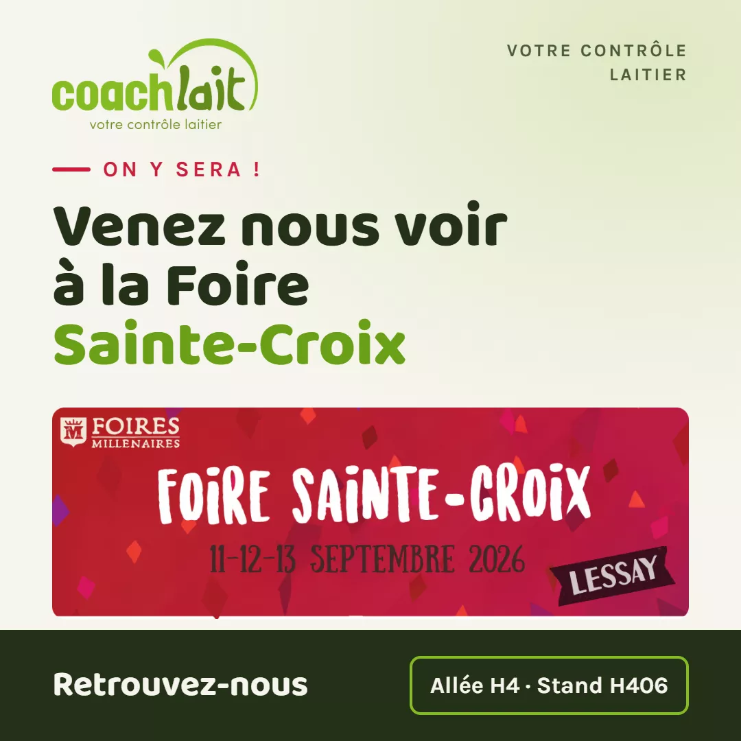coachlait-lessay-carre-1080x1080.png